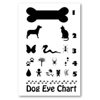 dog_eye_chart_poster-p228190072136989533t5wm_400